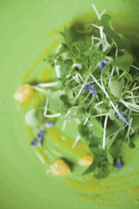salad garnished with edible flowers