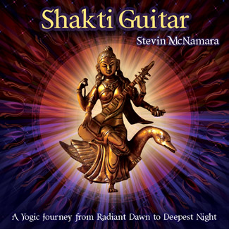 Shakti Guitar by Steven McNamara