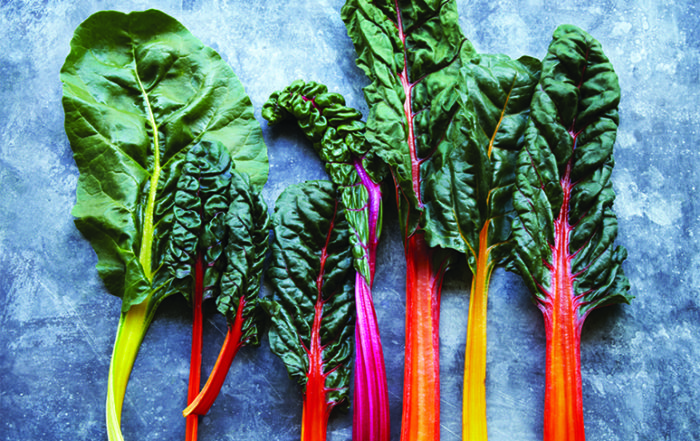 Plant-Based Paleo by Jenna Zoe book cover, LA YOGA Magazine, November 2015