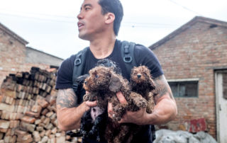 Marc Ching rescues two dogs. He is the founder of Animal Hope and Wellness Foundation (AHWF)