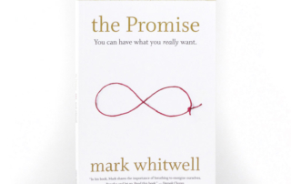 The Promise book cover by Mark Whitwell