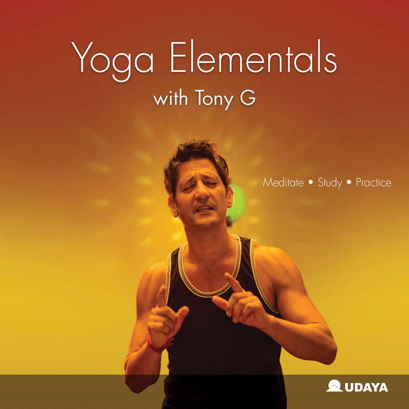 cover of Yoga Elements video set 