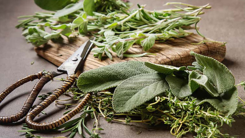 Cooking with Herbs 