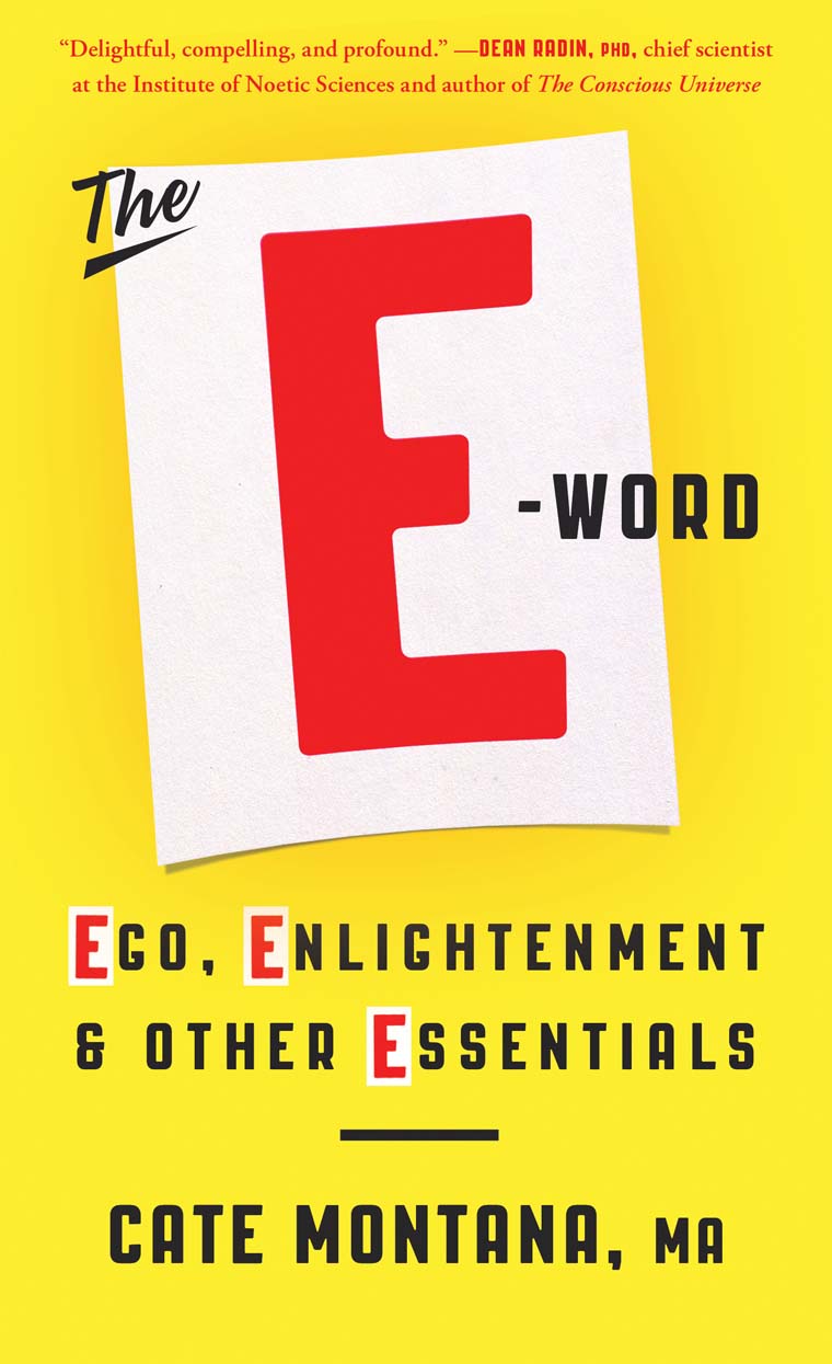 The E Word Book Cover 