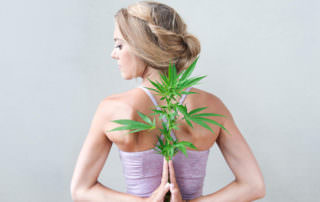 cannabis and yoga