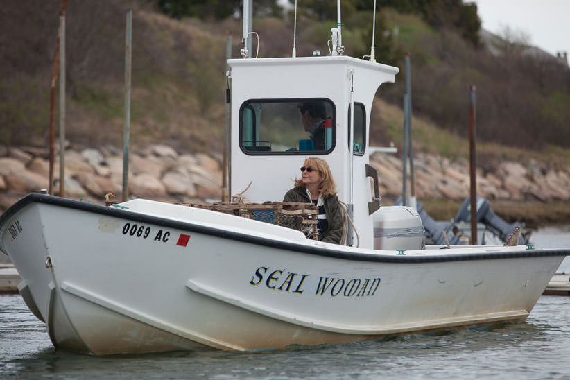 Karen Allen stars in Year by the Sea film 