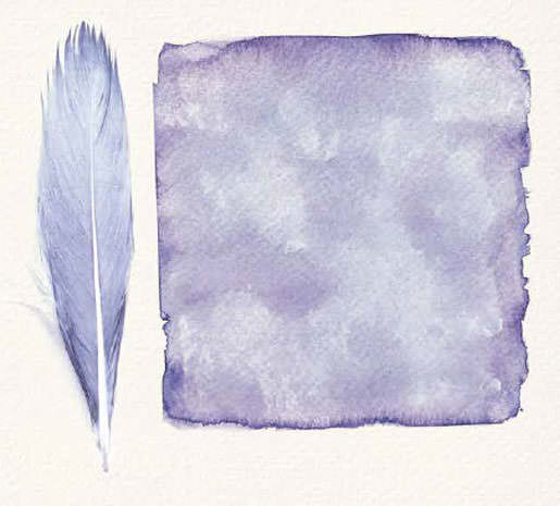 Elena_Brower_Practice_You_Feather