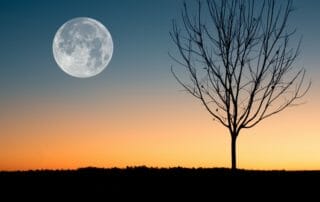 Vedic Astrology April 2018 Full Moon