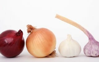 Onions and garlic for vegan burger