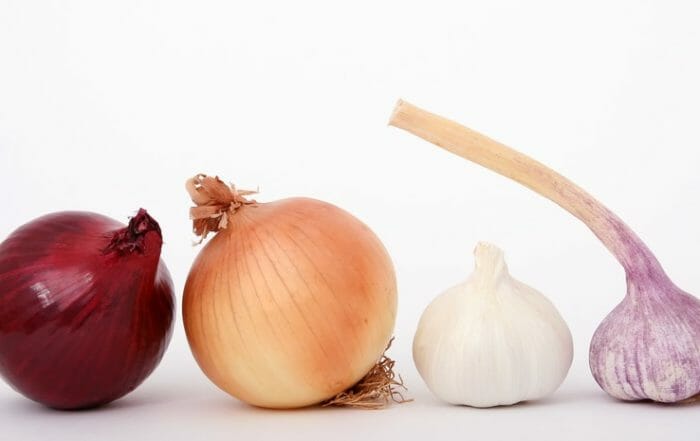 Onions and garlic for vegan burger