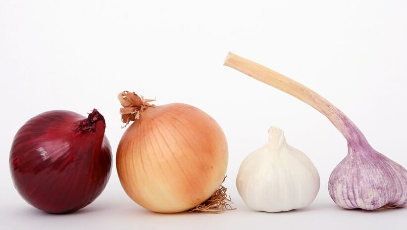 Onions and garlic for vegan burger 