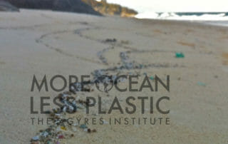 5 Gyres More Ocean Less Plastic