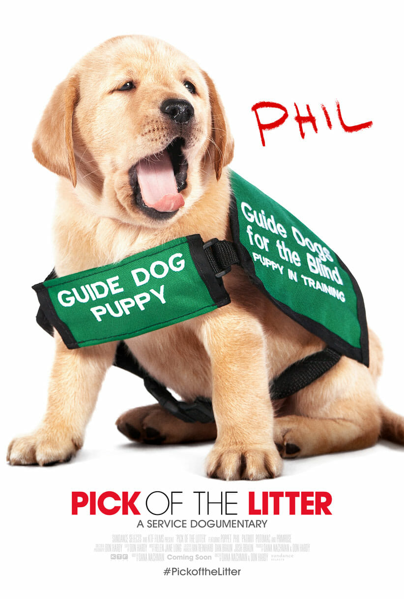 Pick of the Litter Movie Poster 