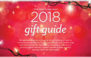 Holiday Gift Guide Gift Selections