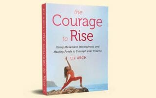 The Courage to Rise Book Cover