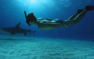 Rob Stewart Swimming with a Shark in Sharkwater Extinction