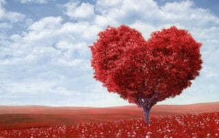 Red Heartshaped Tree Astrology Forecast May 2019