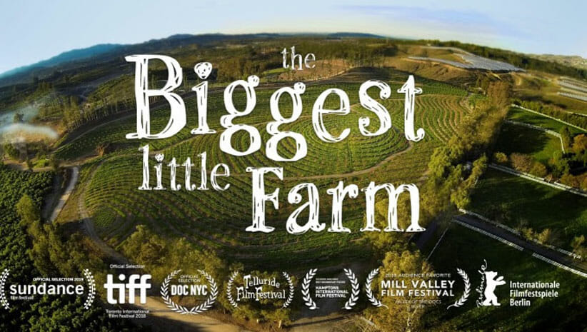28 HQ Images Biggest Little Farm Movie Quotes : 'The Biggest Little Farm' Review: The Pleasures of D.I.Y ...