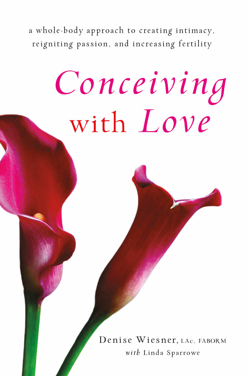 Book Cover Conceiving with Love 