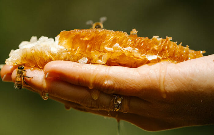 Manuka Honeycomb