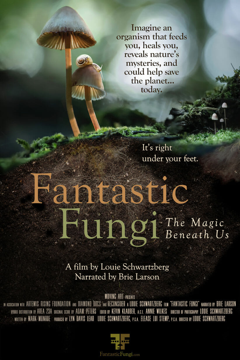 Fantastic Fungi Film Poster 