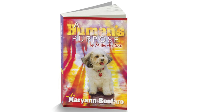 A Human's Purpose Book Cover 