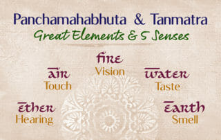 The Five Elements in Ayurveda Unveiled