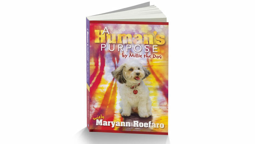 A Human's Purpose Book Cover