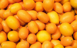 Kumquats at Santa Monica Restaurant Week