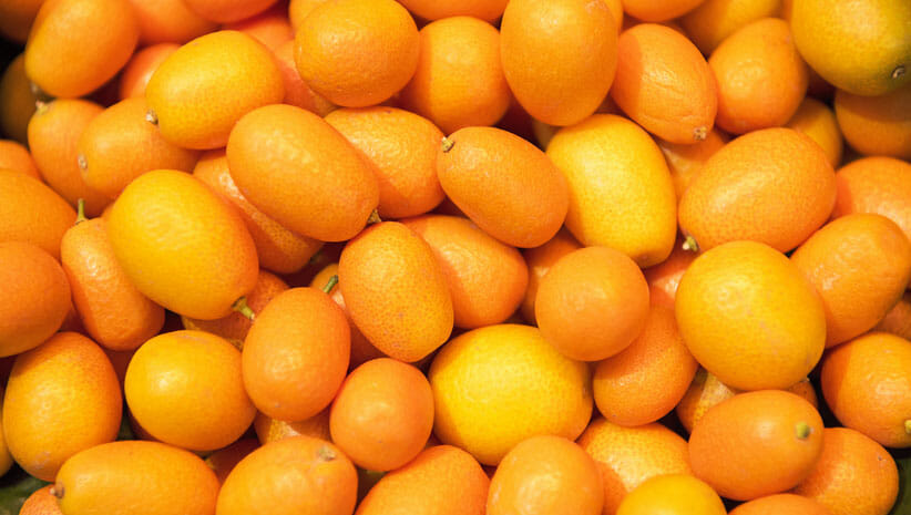 Kumquats at Santa Monica Restaurant Week 