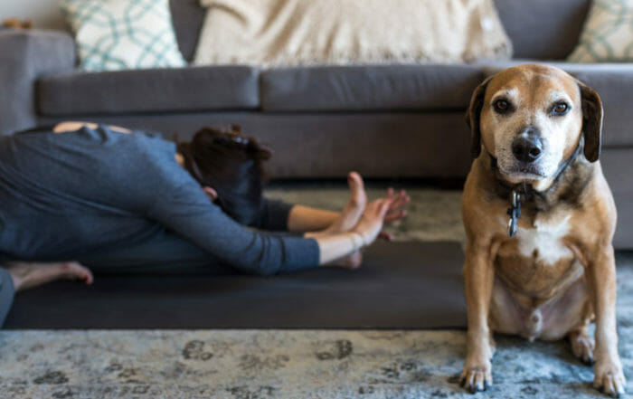 Sarah Ezrin in Yoga Pose for Home Yoga Practice