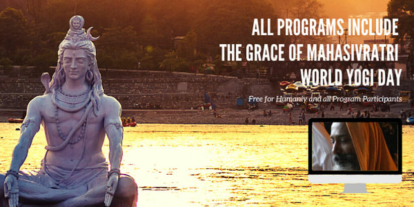 Attain Alignment with Grace of Yoga