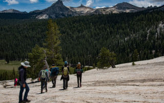 people strolling through Yosemite visiting wild places