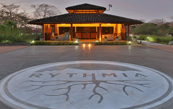 Rythmia and Ayahuasca for healing