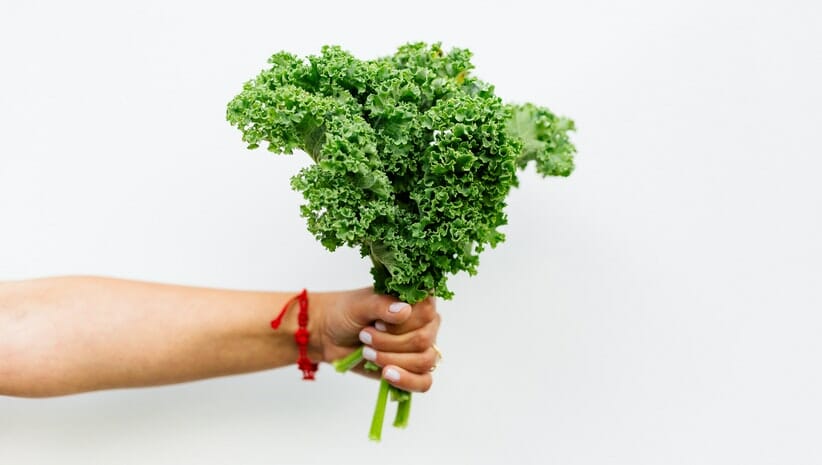 hand holding bunch of kale