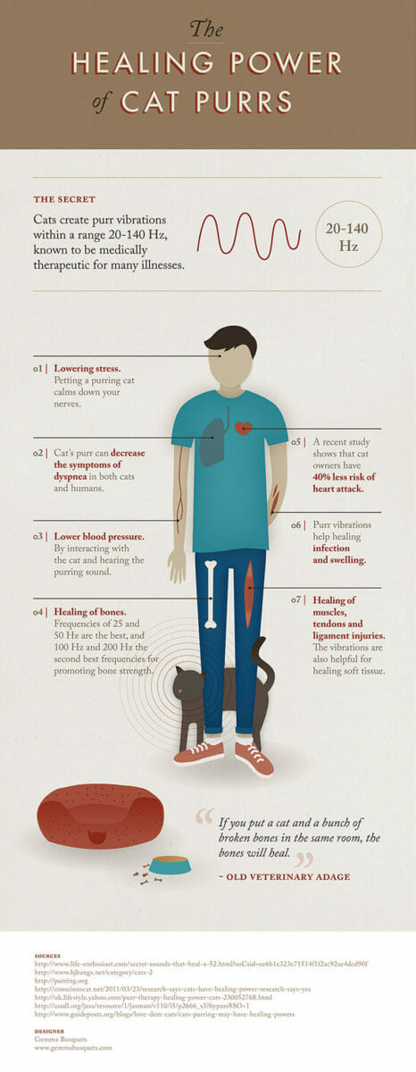 graphic describing healing power of cat purr