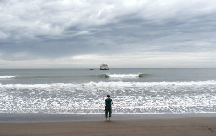 Monica Gaglioano on the beach in AWARE: Glimpses in Consciousness