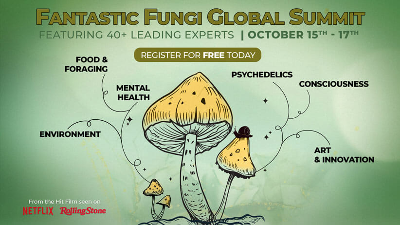 Fantastic Fungi Global Summit fungi illustration