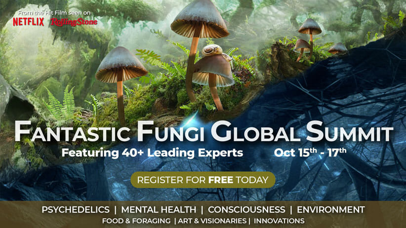 information about fantastic fungi global summit