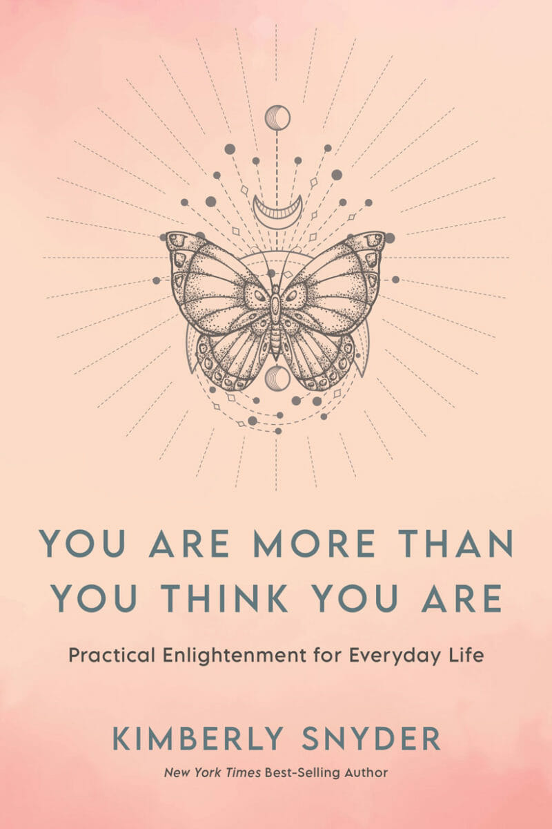 Book Cover You are More than you think You Are