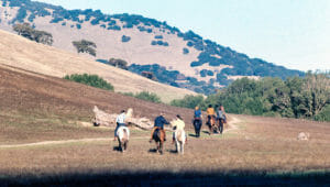 Mickey Hart Novato Ranch horses c. Rosie McGee